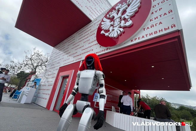 Источник: Елена Буйвол / VLADIVOSTOK1.RU