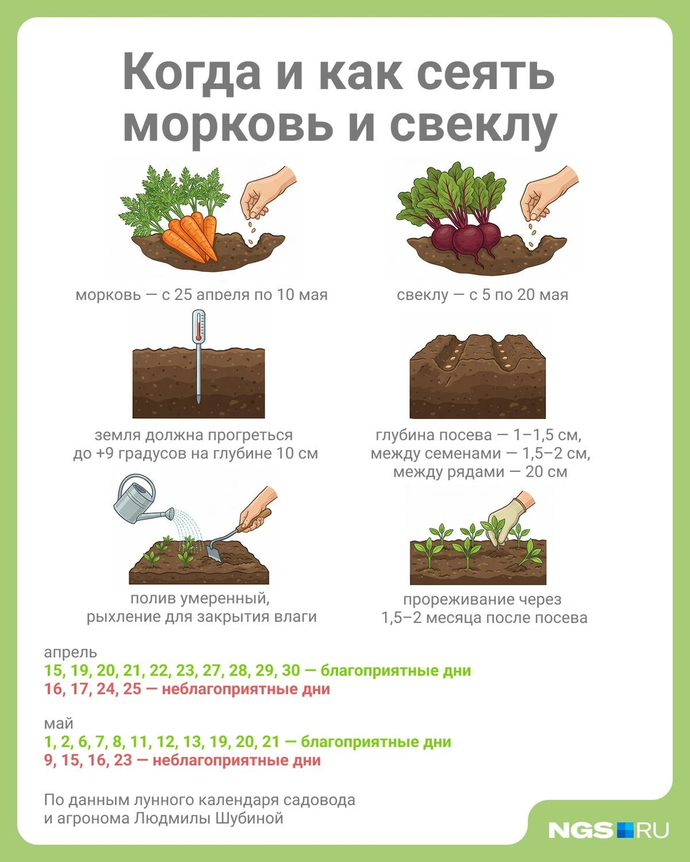 Источник: Юрий Орлов / Городские медиа