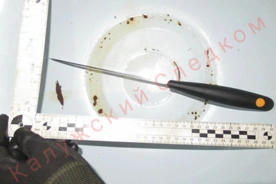 В Калужской области завершено расследование убийства сожителя