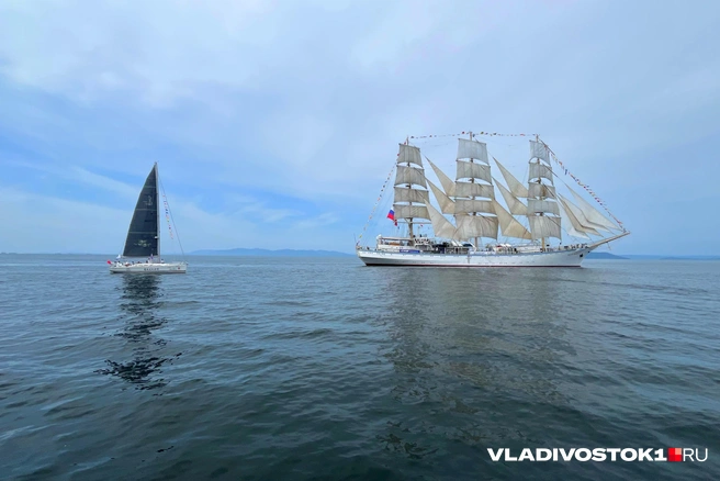 Источник: Елена Буйвол / VLADIVOSTOK1.RU