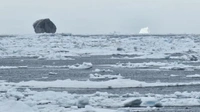 Черный айсберг, замеченный в море Лабрадор, взорвал Интернет