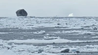 Черный айсберг, замеченный в море Лабрадор, взорвал Интернет