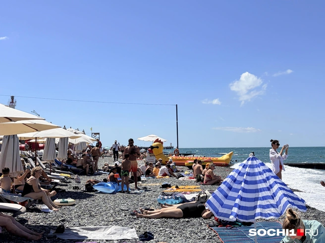 В Сочи отменили беспилотную опасность | Источник: Анна Грицевич / SOCHI1.RU