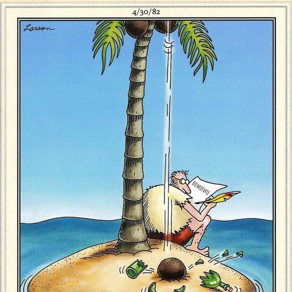 Источник: соцсети