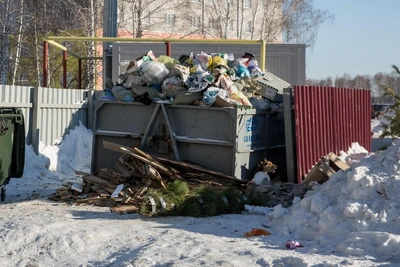 В Челябинске за неправильный выброс елки грозят штрафы