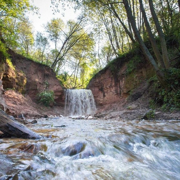 Источник: Администрация Ленобласти