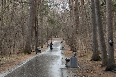 В хабаровском Дендрарии завершили масштабное благоустройство