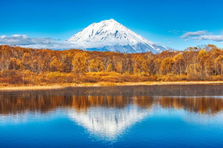 Источник: Bborriss.67/Shutterstock/Fotodom.ru