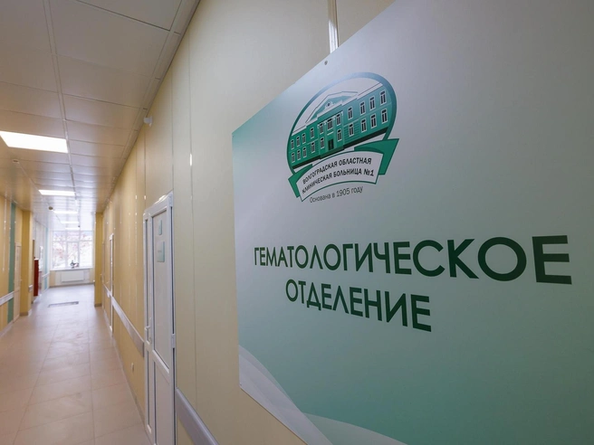 Отделение гематологии является первым подобным медицинским подразделением в регионе. | Источник: Алексей Волхонский / V1.RU