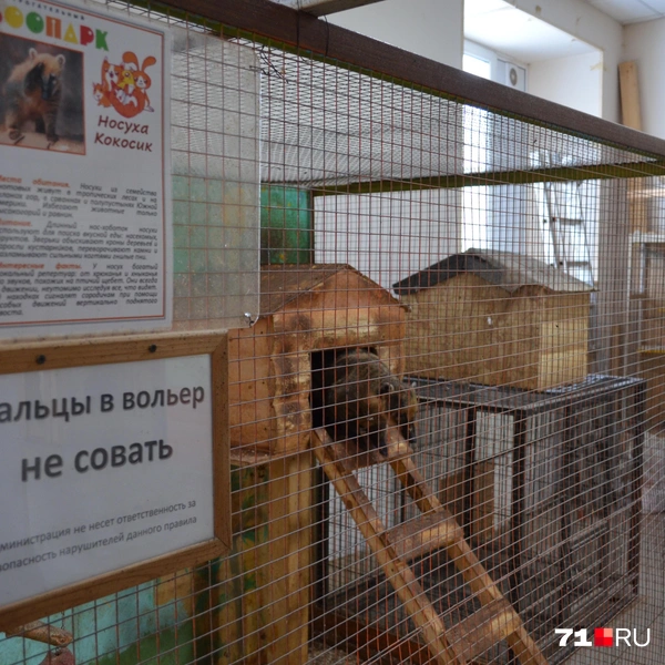 Носуха почти всё время просидела в будке | Источник: Максим Улитов / 71.RU