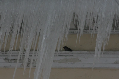 Прокуратура оштрафовала главу ТСЖ за снег в Кораблине