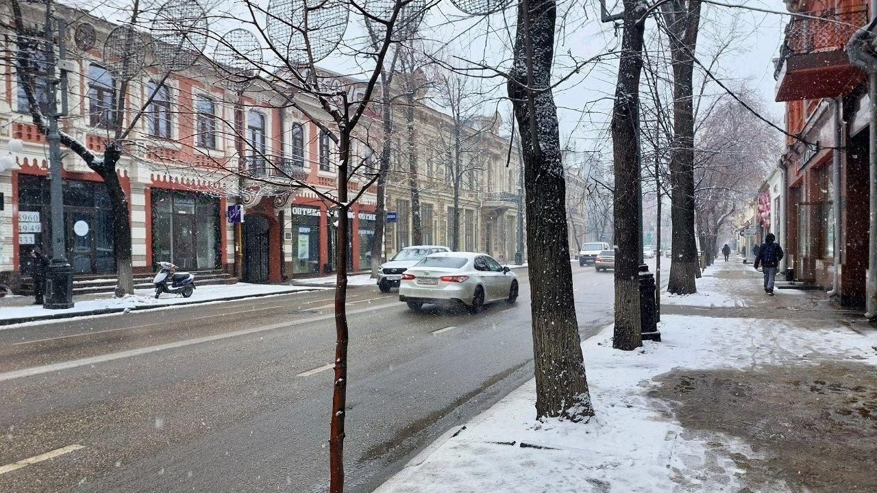 Год назад в это время люди уже ходили в легких пальто и плащах | Источник: Екатерина Железнова / 93.RU