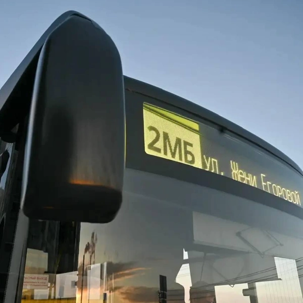 Источник: Администрация Санкт-Петербурга