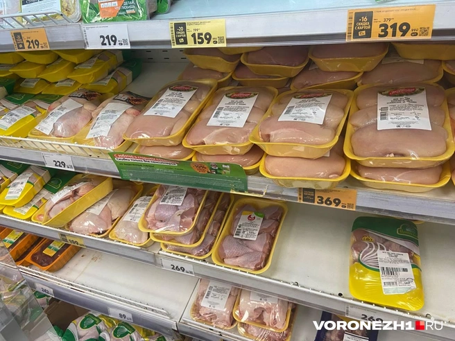 Источник: Дмитрий Волгин / Voronezh1.ru