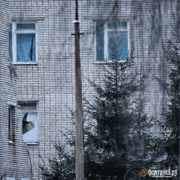 Источник: Валентин Егоршин / «Фонтанка.ру»