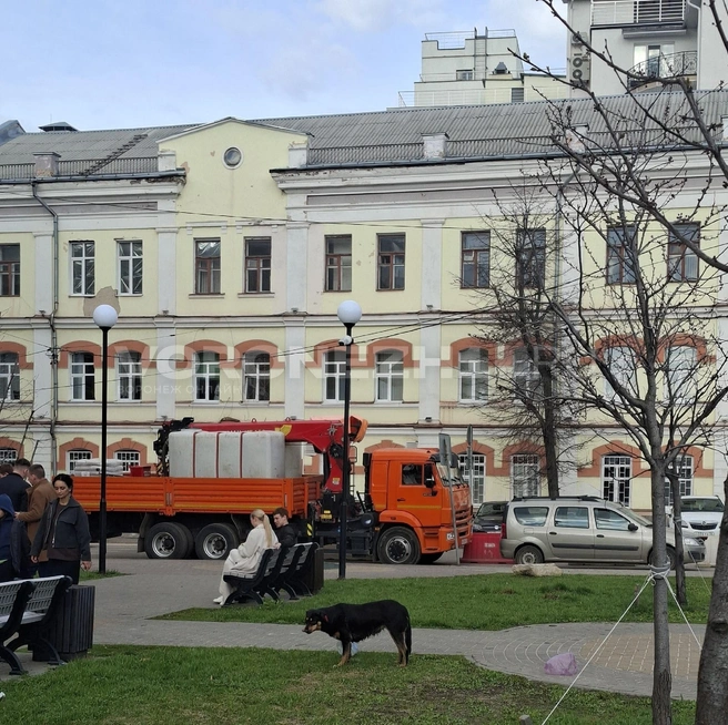 Ещё одна хозяйка города в центре&nbsp;— обедает | Источник: Алёна Воропаева / Voronezh1.ru