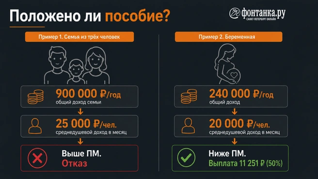 Источник: Инфографика, «Фонтанка.ру»
