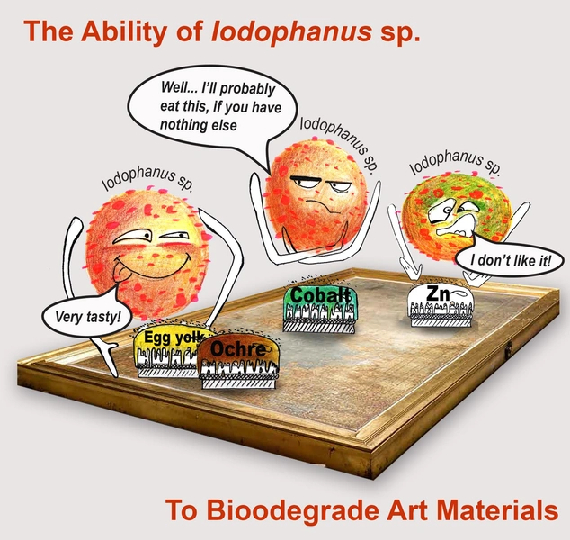 Грибу нравятся осетровый клей и охра, а цинк ему не по вкусу | Источник: Journal of Cultural Heritage