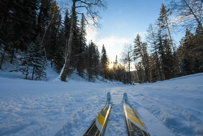 Belokurikha taiga retreat features new aqua-thermal complex and skiing