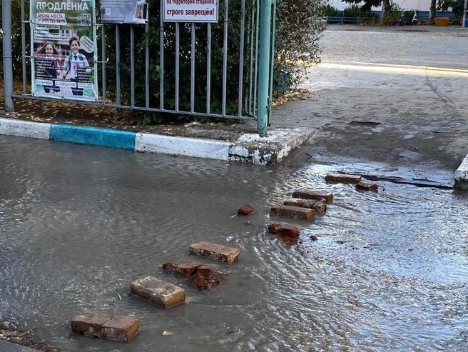 К гимназии через поток воды ведет дорога из старого кирпича | Источник: читатели V1.RU