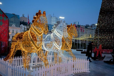 Vladivostok wins 3 million rubles for best New Year square decoration