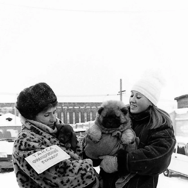 На рынке можно было купить и щенка | Источник: Михаил Загуляев / Пермский партархив