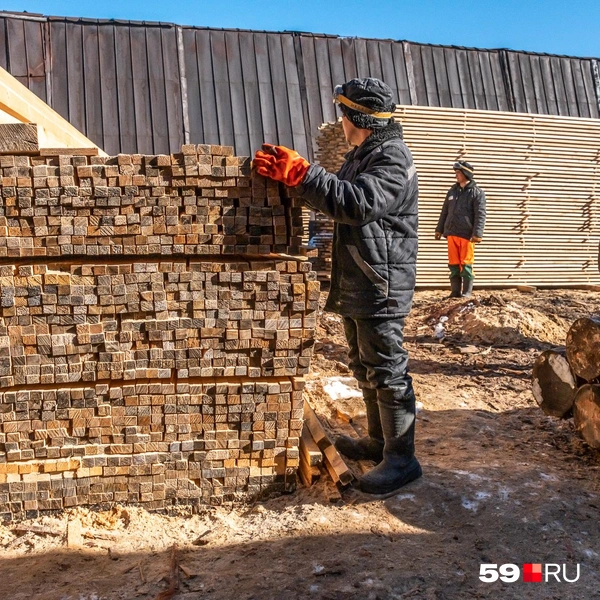 На пилораме доски и брус делают из сосны | Источник: Василина Любимова / 59.RU