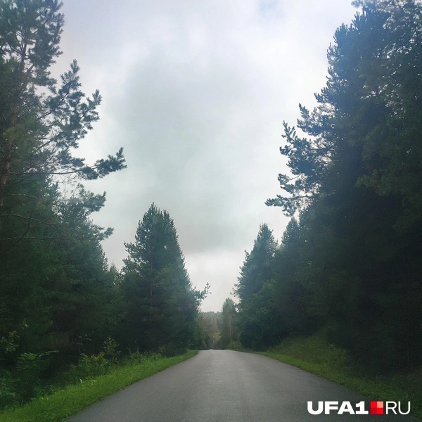 Источник: читатель UFA1.RU