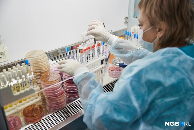 Анализ на гематокрит делают в рамках общего анализа крови | Источник: Александр Ощепков / NGS.RU