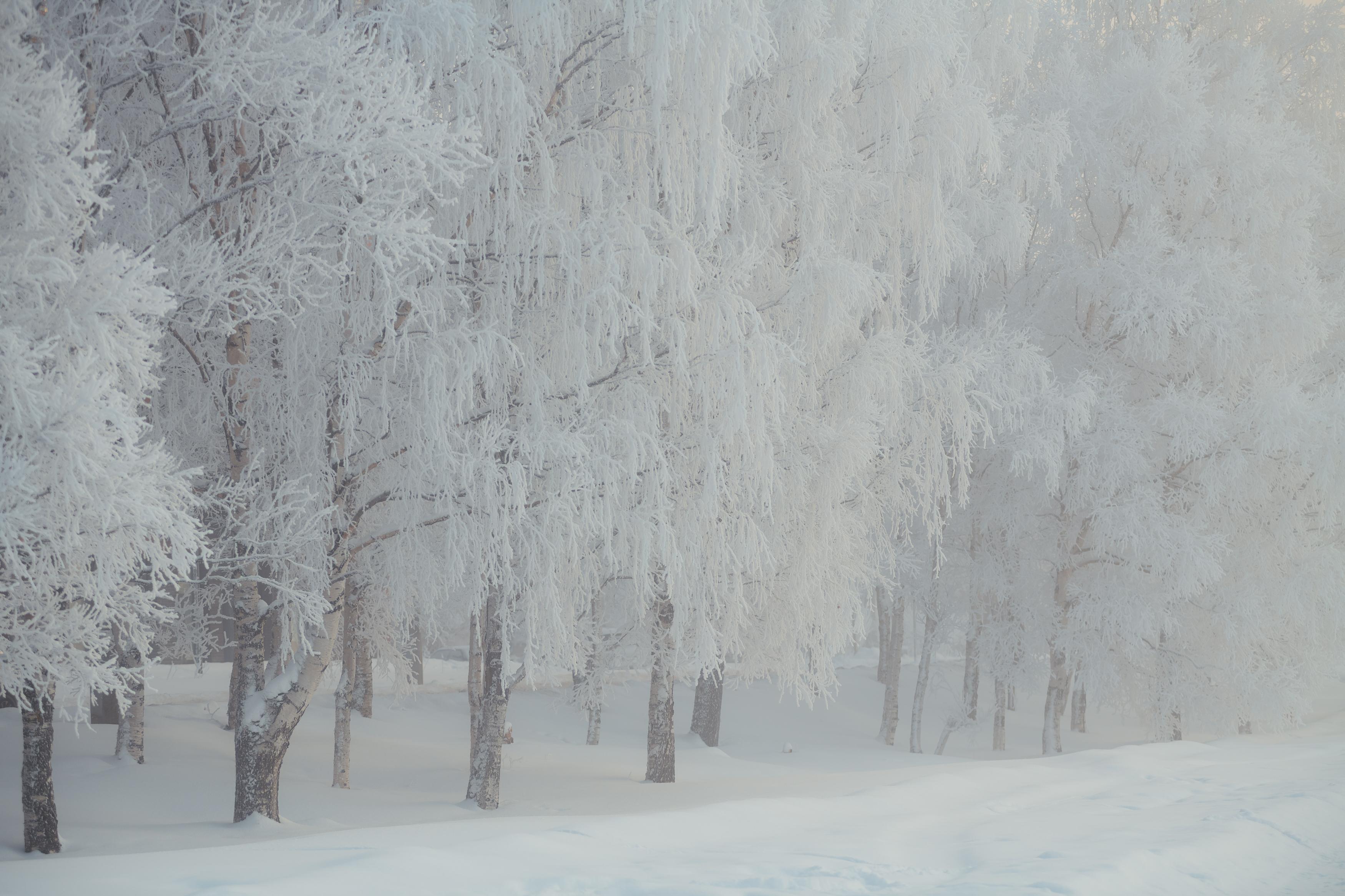 Самые красивые моменты зимы — на вашем телефоне: обои с заснеженным Архангельском 