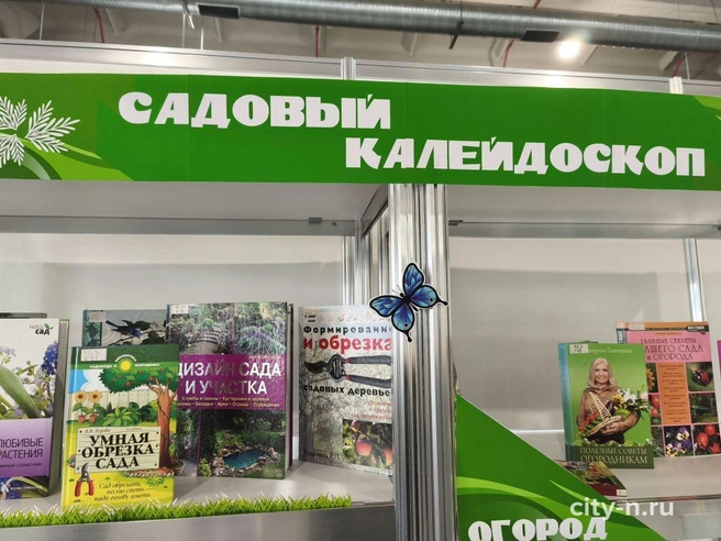 Источник: www.city-n.ru