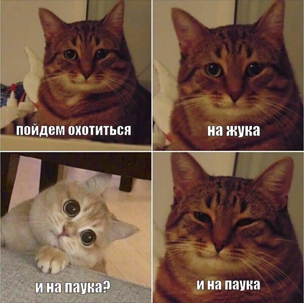 Источник: Соцсети