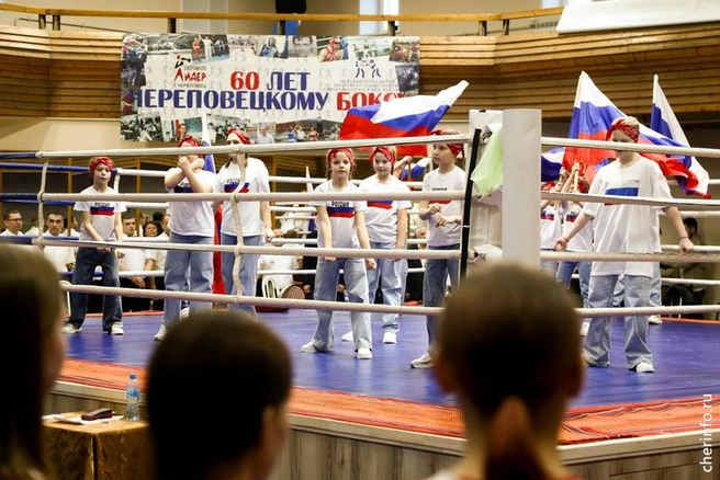 Источник: st.cherinfo.ru