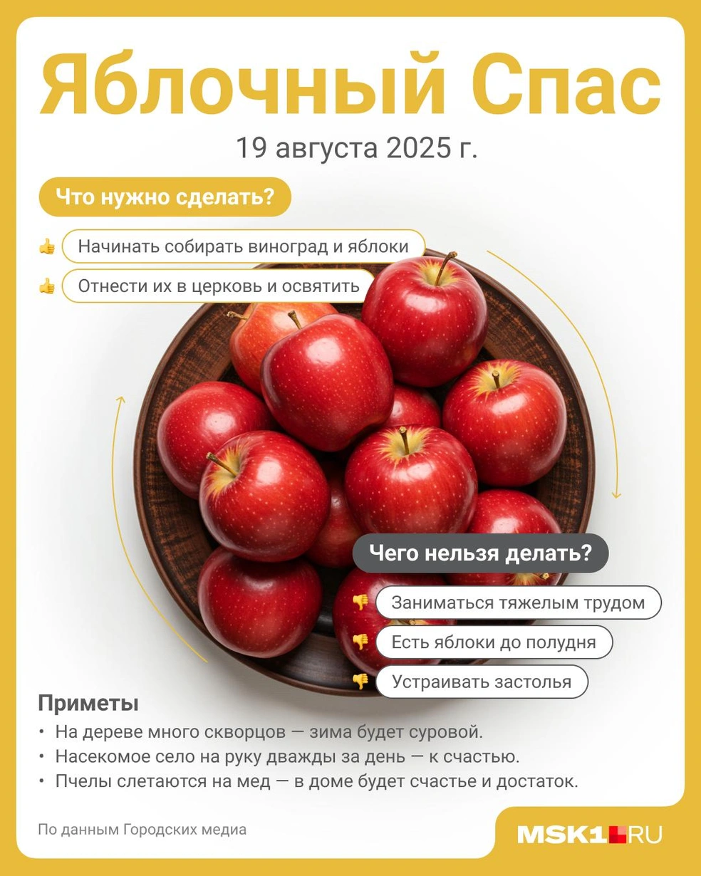 Источник: Полина Авдошина / Городские медиа