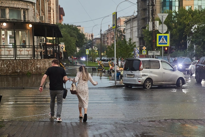 В ближайшие дни в городе прогнозируют осадки | Источник: Александр Ощепков / NGS.RU