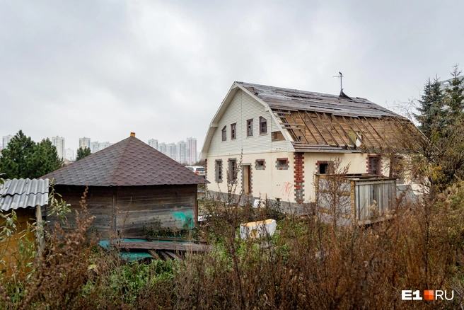 Картина действительно печальная | Источник: Владислав Лоншаков / E1.RU