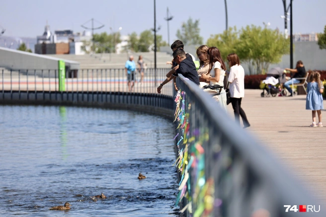 С набережной, опоясывающей водоем, взгляните на воду поближе  | Источник: Михаил Шилкин 