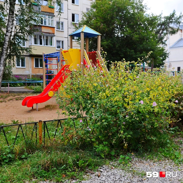 Забор совсем низкий&nbsp;— для обозначения границ | Источник: Ирина Тропина / 59.RU