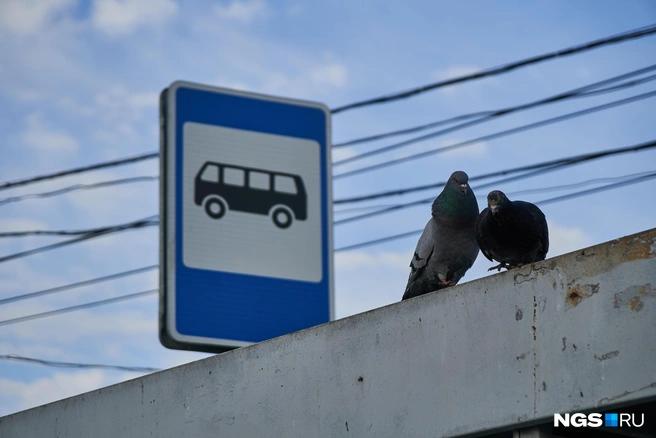 Раньше пассажиры выходили на временной остановке | Источник: Александр Ощепков / NGS.RU