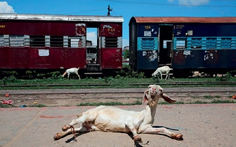 Прибытие поезда: фоторепортаж из Непала