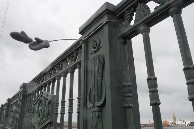 Погоду в Петербурге поменял атмосферный фронт, скользящий по краю антициклона | Источник: Михаил Огнев / «Фонтанка.ру»