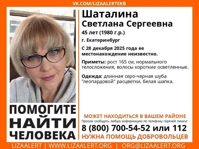 Источник: «ЛизаАлерт»