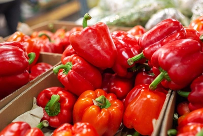 Pepper Sowing: Agronomist's Advice on Timing and Methods