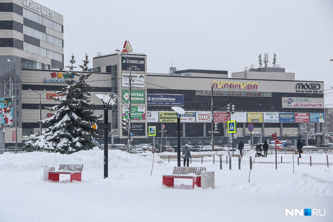 Открытое письмо уже подписали часть местных жителей | Источник: Наталья Бурухина / NN.RU