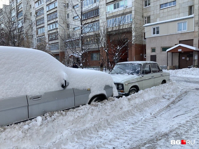 Степень загруженности снежного полигона достигла апрельской нормы | Источник: Сеть городских порталов