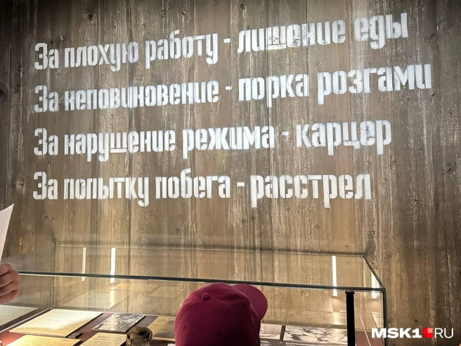 Ребенок на первой экскурсии изучает исторические материалы о зверствах нацистов | Источник: Максим, читатель MSK1.RU