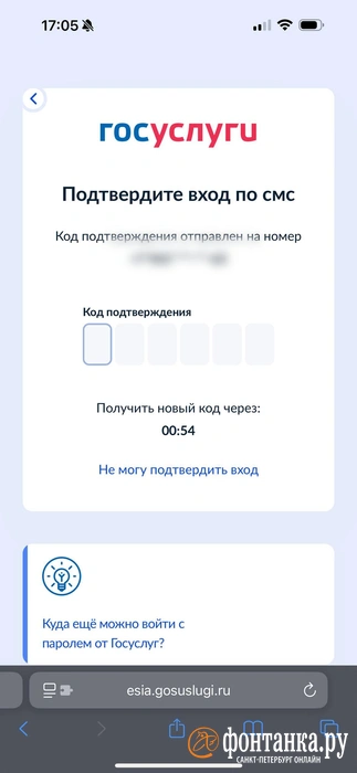 Попытка войти вечером | Источник: «Фонтанка»