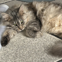 Аватарка Катя