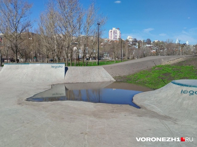 Источник: Дмитрий Волгин / Voronezh1.ru