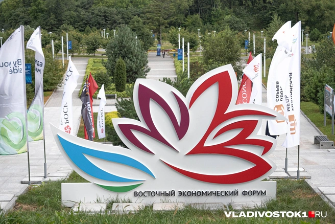 Проект обсудили на одной из площадок форума | Источник: Елена Буйвол / VLADIVOSTOK1.RU